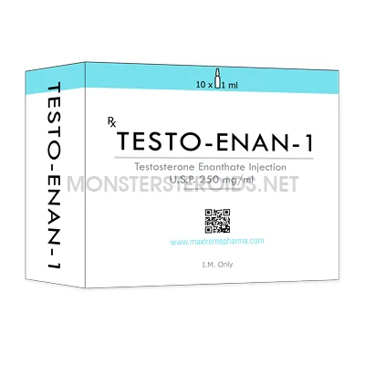 Test E 250