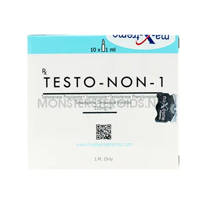 Testo Non 1